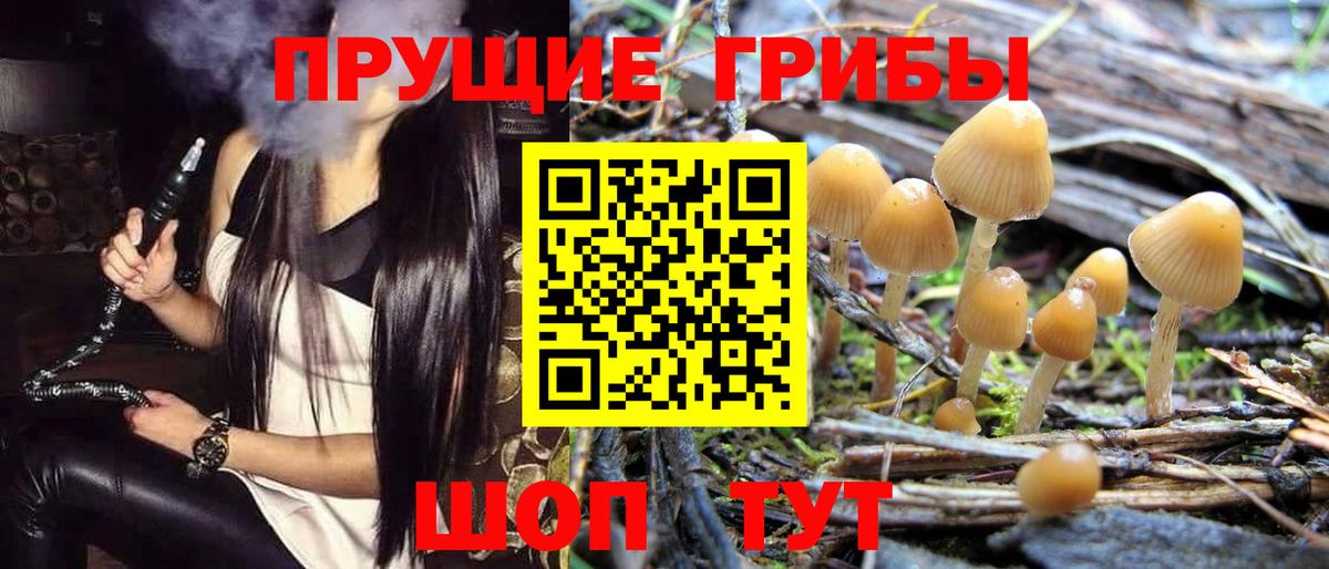 Новочебоксарск  Псилоцибиновые грибы Magic Shrooms  Вход с VPN 